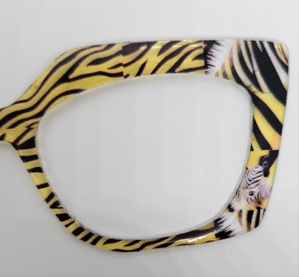 No Ordinary Zebra