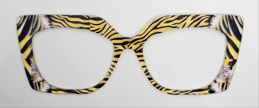 No Ordinary Zebra