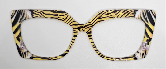 No Ordinary Zebra