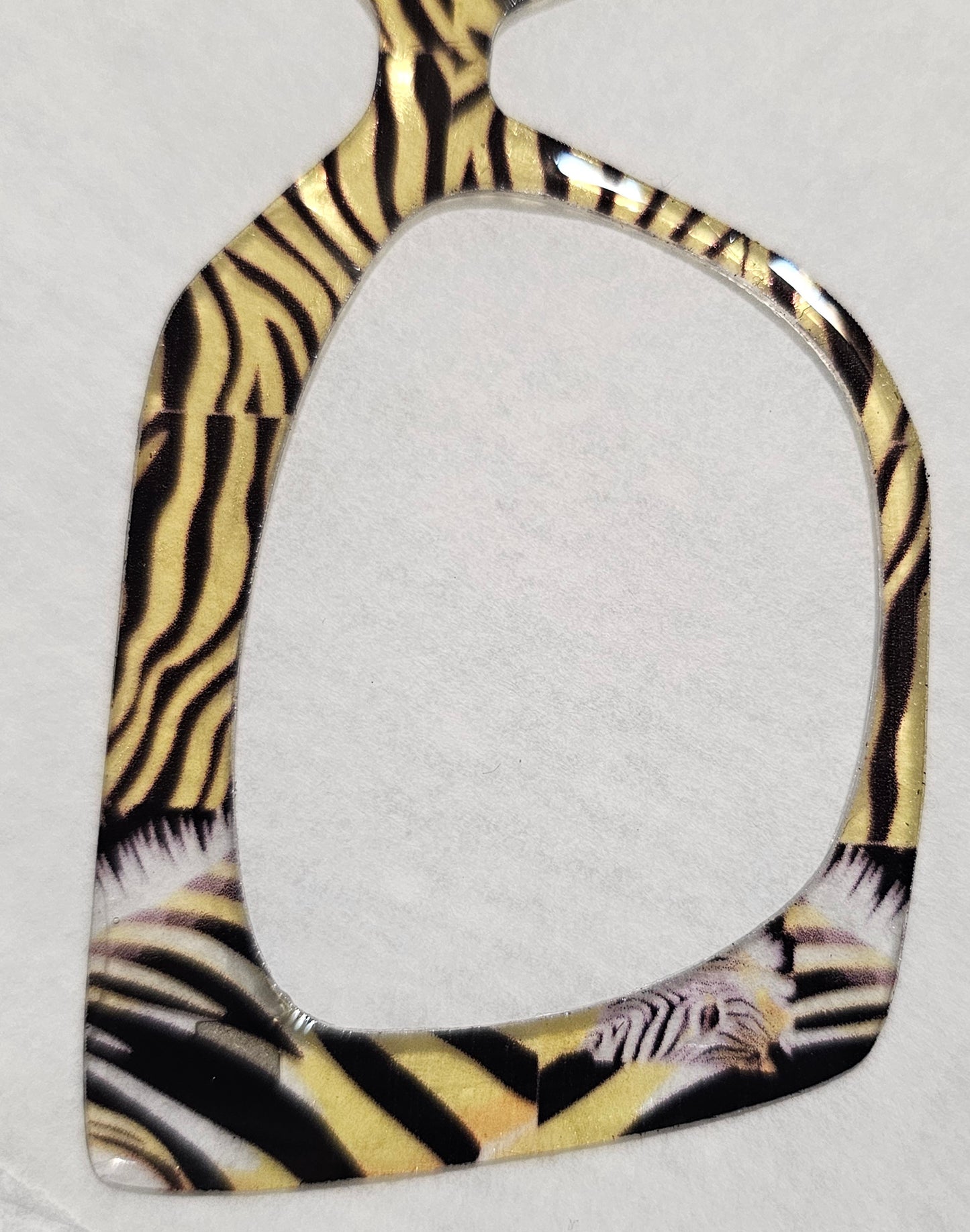 No Ordinary Zebra